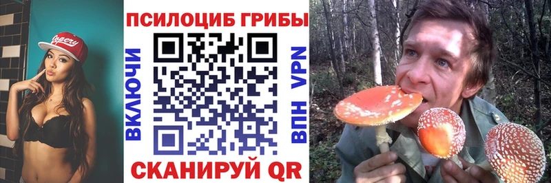 Псилоцибиновые грибы ЛСД  цены наркотик  маркетплейс Telegram  Волоколамск  MEGA зеркало 