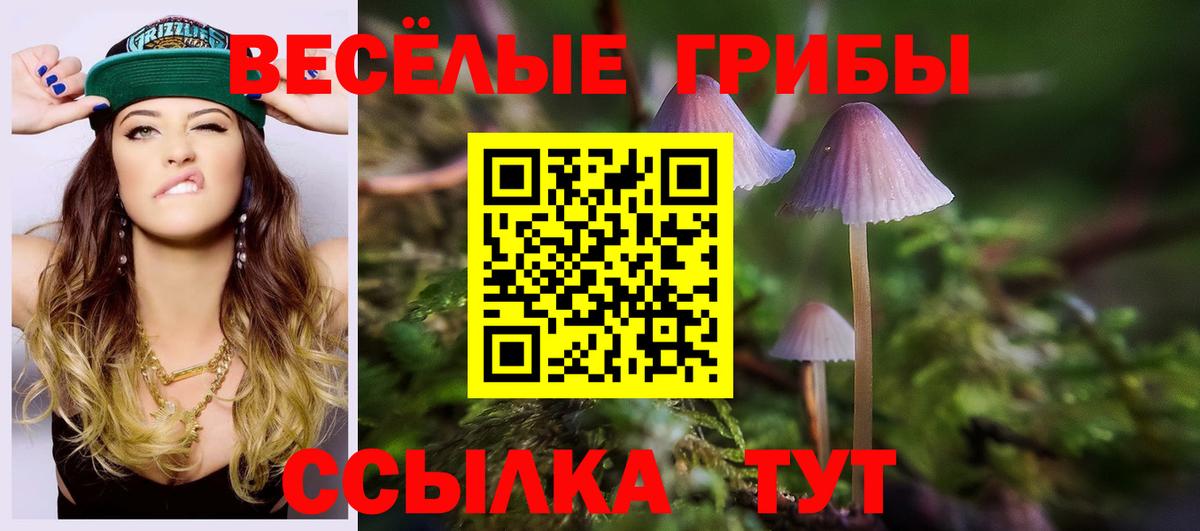 Конопля Волоколамск