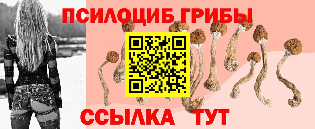Волоколамск  Псилоцибиновые грибы MAGIC MUSHROOMS  закладка  Вход с VPN 