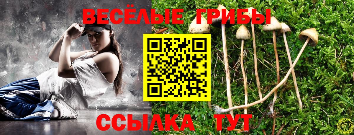 Псилоцибиновые грибы Magic Shrooms Волоколамск